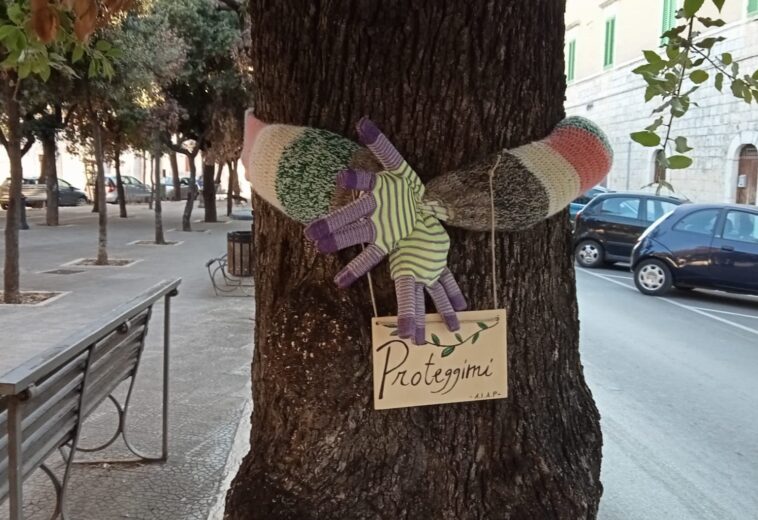 SINGOLARE MODO, A GIOVINAZZO, PER INVITARE AD AVERE CURA DELL’AMBIENTE URBANO RISPETTANDO GLI ALBERI