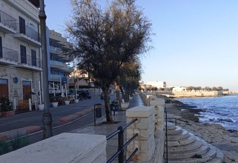 RIQUALIFICAZIONE DEL VERDE SUI LUNGOMARE DI PONENTE E LEVANTE A GIOVINAZZO